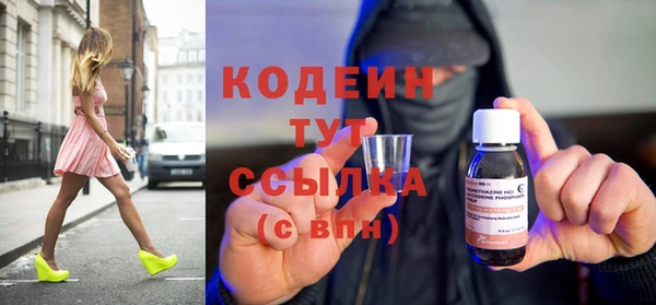 ГАЛЛЮЦИНОГЕННЫЕ ГРИБЫ Верея