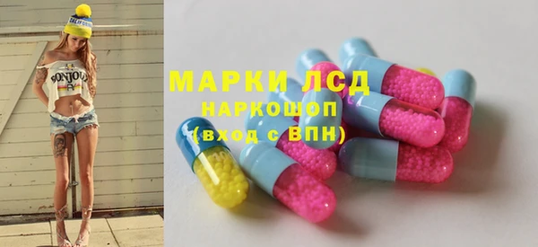 ГАЛЛЮЦИНОГЕННЫЕ ГРИБЫ Верея