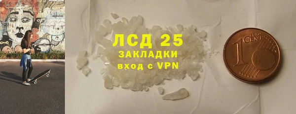 ГАЛЛЮЦИНОГЕННЫЕ ГРИБЫ Верея